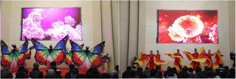 球盟会·qmh(中国)-官方网站