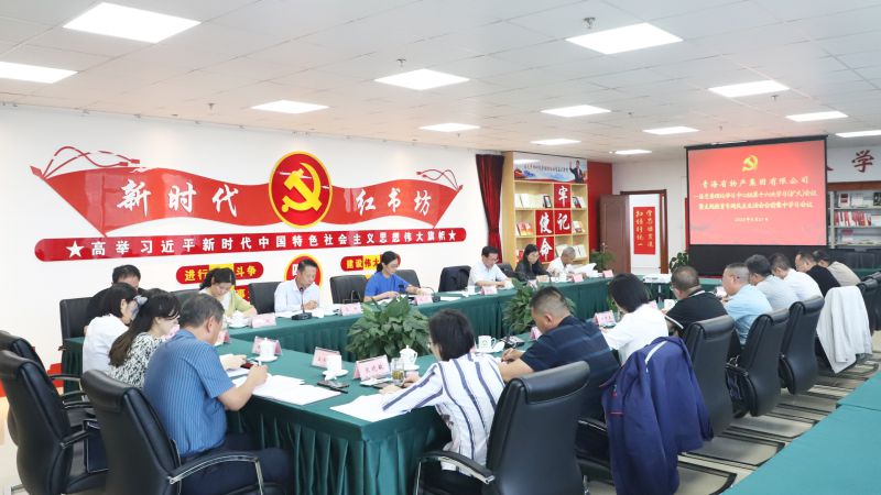 省QMH官网集团党委理论进建中心组 发展主题教育专题民主生涯会会前集中进建