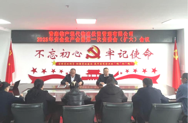 现代物流公司召开2025年安全出产会暨第一次安委会（扩大）会议