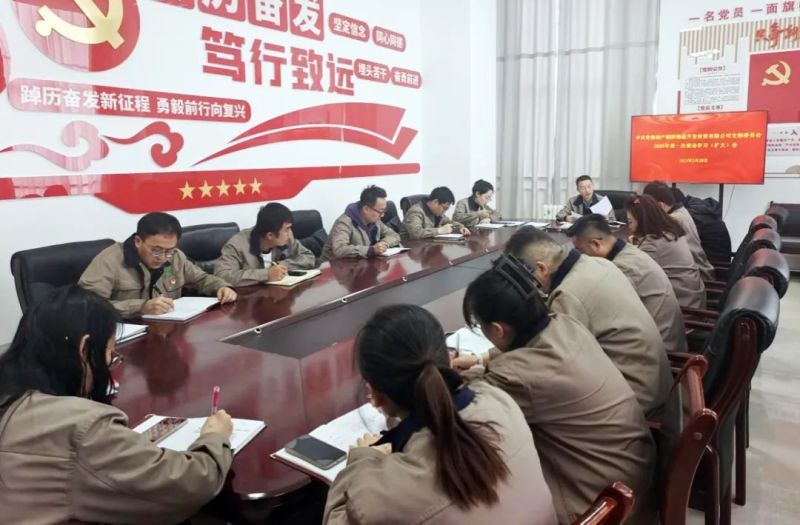 朝开公司党支部召开2025年第一次理论进建（扩大）会