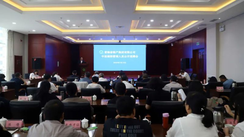 &ldquo;竞&rdquo;显风采 &ldquo;聘&rdquo;贤任能&mdash;&mdash;省QMH官网集团发展部门中层副职岗位公开竞聘工作