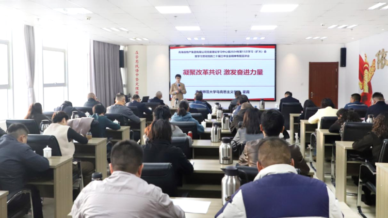 集团党委理论进建中心组发展党的二十届三中全会心灵专题宣讲