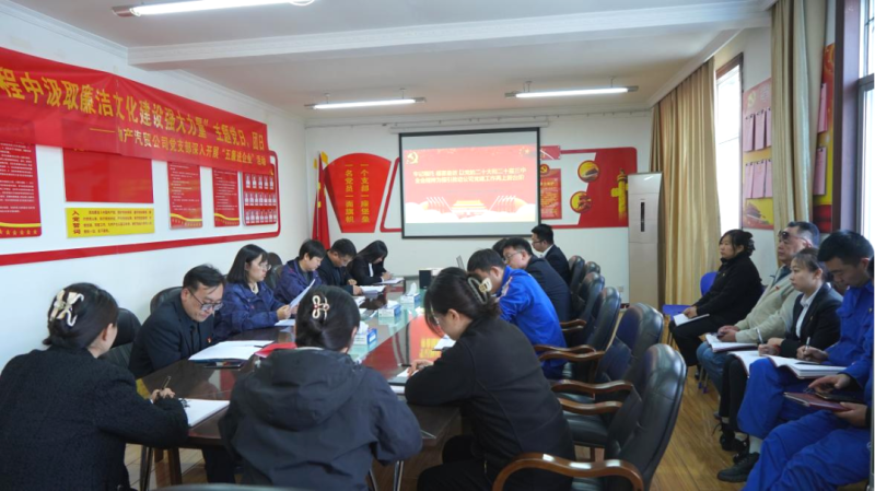 汽贸公司党支部召开沉温习近平总书记在全国国有企业党的建设工作会议上沉要讲话心灵座谈会暨2024 年第十二次进建（扩大）会议