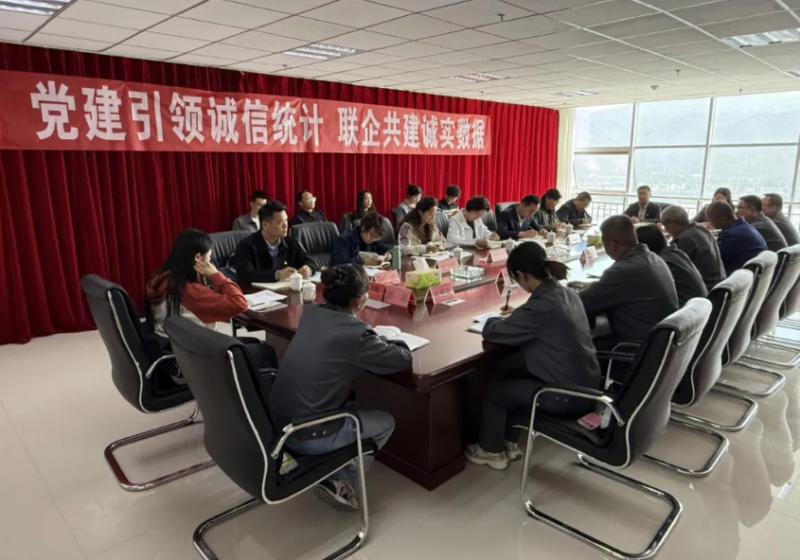 &zwnj;&ldquo;党建引领诚信统计 联企共建恳切数据&rdquo;&mdash;&mdash;公司党委与国度统计局大通调查队发展主题党日活动