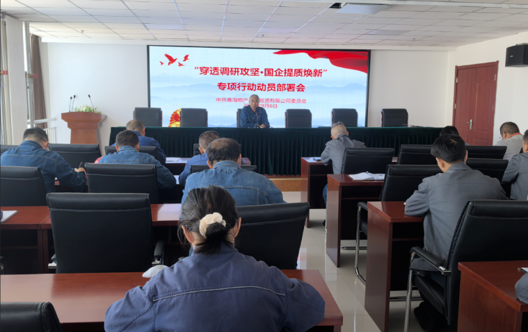 工投公司党委召开&ldquo;穿透调研攻坚&middot;国企提质焕新&rdquo;专项行动带头部署会