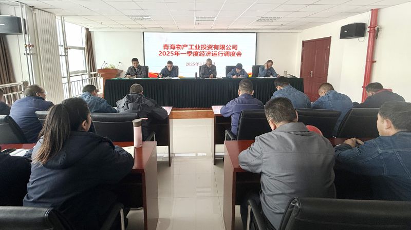 QMH官网工投公司召开2025年第一季度经济运行调度会