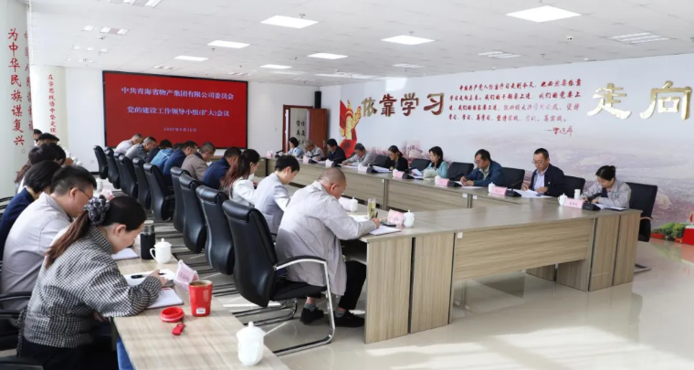 省QMH官网集团党委召开党的建设工作辅导幼组（扩大）会议