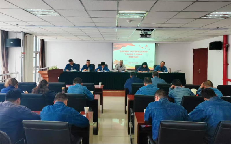 工投公司党委组织发展&ldquo;学全会心灵 守纪律底线&rdquo; 主题党日活动