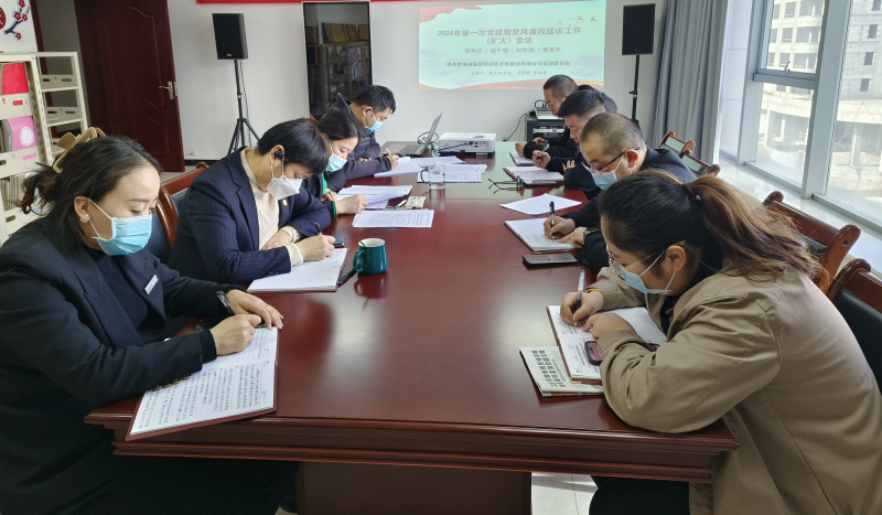 聚共识鼓劲头  转风格沉实干 &mdash;&mdash;临空开投公司党支部召开2024年度第一次党建暨党风廉政建设 工作会议