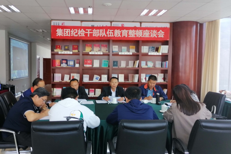 集团纪委召开纪检干部行列教育整顿工作座谈会