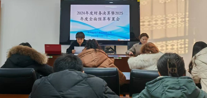 省QMH官网集团召开2024年度财政决算暨2025年度全面预算工作安插会