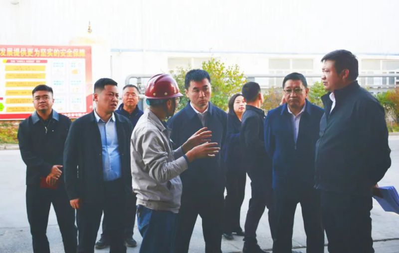 大通县委副书记、县长马明旭一行光临工投公司调研领导