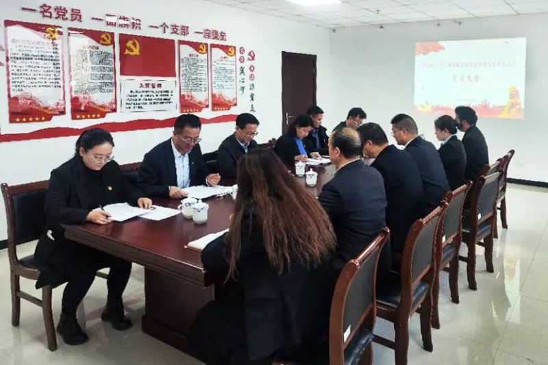 中国共产党临空公司党员大会成功召开