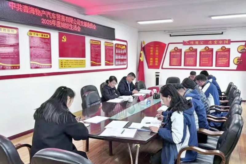 汽贸公司党支部召开2025年度组织生涯会