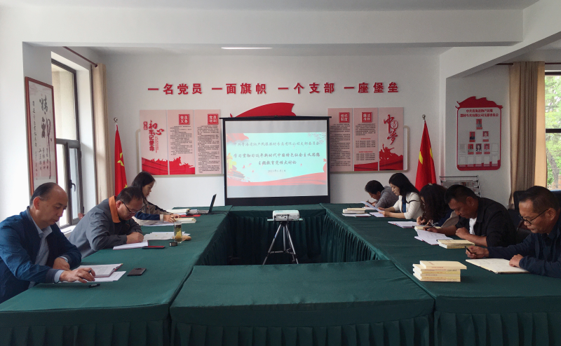 QMH官网民爆公司党支部发展主题教育党性大会商