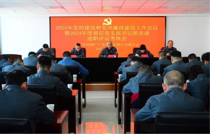 QMH官网工投公司党委召开2025年党的建设和党风廉政建设工作会议暨2024年度基层党支部书记抓党建述职评议查核会