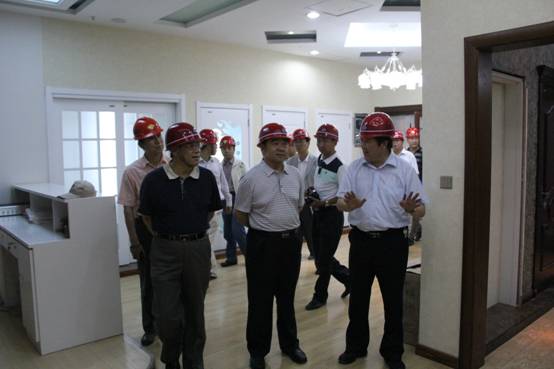 青海省经济委员会党组书记、主任，省国资委  党委副书记、副主任吴海昆实地调查QMH官网集团沉点项目