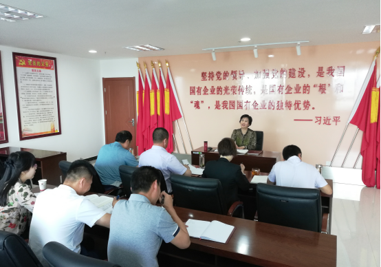 集团纪委书记谢燕同道在集团机关党支部作党课