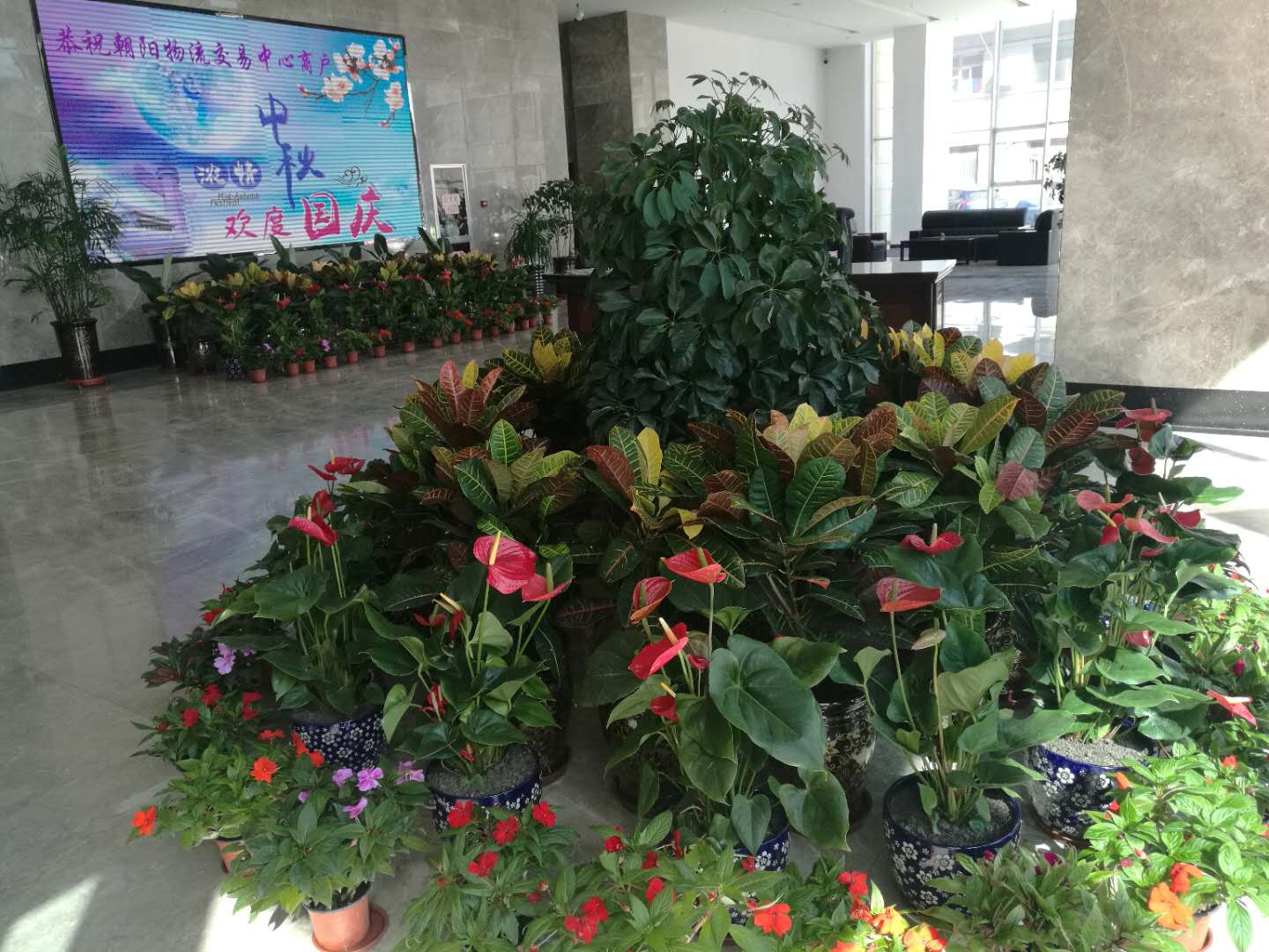 0e96d9d502ac01e09b0aa88f91b1f4ec