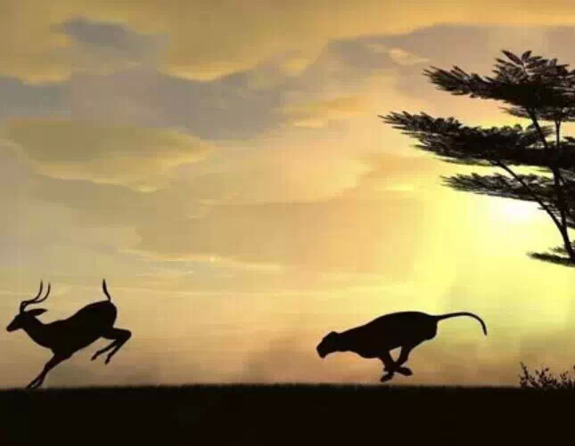 2da97bac8fb751b6b94b8cf5e7f22256