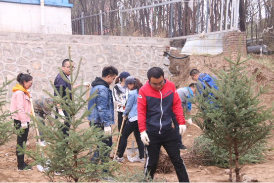 播一片绿林 种一份爱心 打扮物流园区