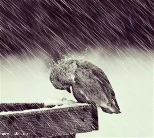 5925e51d482010b09419028bfd52a9f5