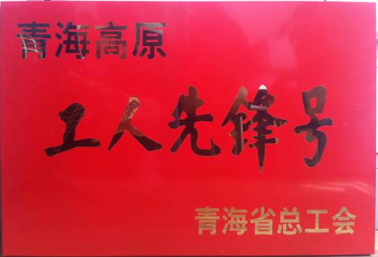 祝贺特铝合金公司铸造车间获得青海高原&ldquo;工人前锋号&rdquo;荣誉称号