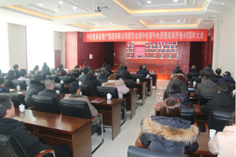 集团党委组织党员干部集中收听收看 庆祝鼎新盛开40周年大会直播盛况