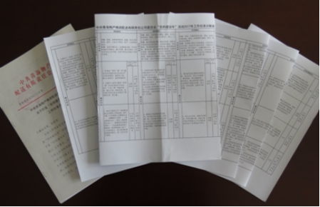 对标  分化  明责  落实