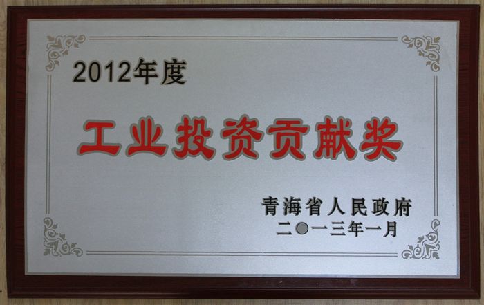 集团荣获2012年度青海省人民当局&ldquo;工业投资贡献奖&rdquo;