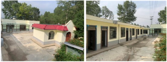 筑牢党建根基  服膺使命在肩