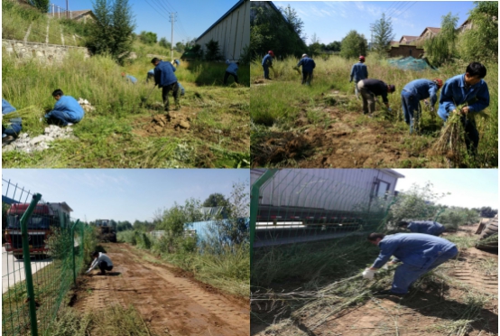 球盟会·qmh(中国)-官方网站