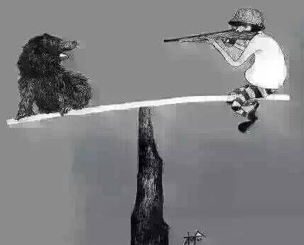 f67c73a5125673007a346d10d9f5436f