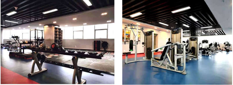 展活动风采  铸QMH官网鲜丽――&ldquo;青物集团健身中心&rdquo;起头试交易